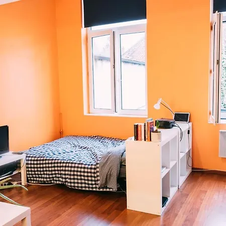 Apartmán Bright Studio In The Old *